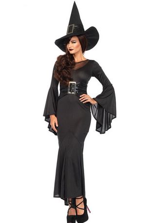 F1673 Wickedly Sexy Witch Costume